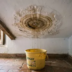 Goteras en el techo que hago? Una gota cae en un cubo amarillo. El techo está manchado y dañado.
