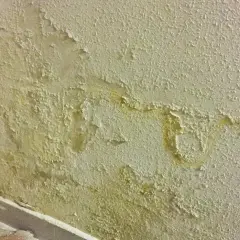 Pintura descascarada y manchas amarillas en una pared, indicando varios tipos de humedad en paredes.