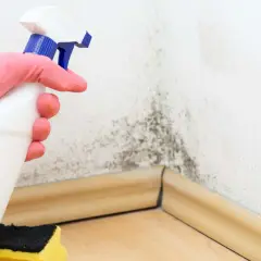 Mano con guante rosa sostiene spray para limpiar moho en esquina de pared. La humedad y la baja temperatura de rocío favorecen su aparición.