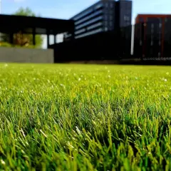 Césped artificial verde y vibrante, perfecto para aprender como limpiar cesped artificial y mantenerlo impecable. Edificios modernos al fondo.