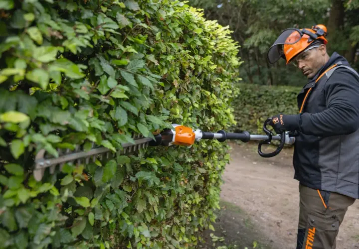 Hombre con equipo de protección realizando la poda de setos con una cortasetos eléctrica.