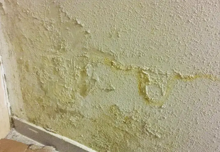 Pintura descascarada y manchas amarillas en una pared, indicando varios tipos de humedad en paredes.