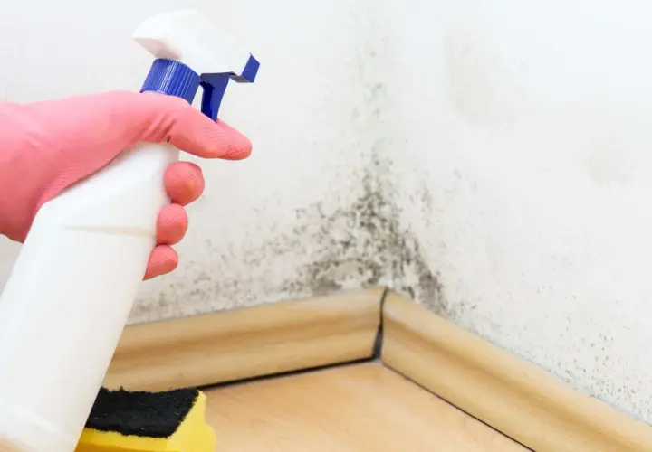 Mano con guante rosa sostiene spray para limpiar moho en esquina de pared. La humedad y la baja temperatura de rocío favorecen su aparición.