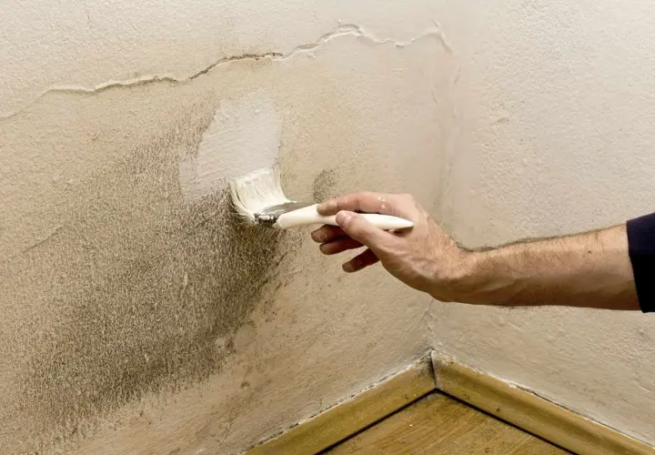 Pintando una pared con humedad. Se aplica pintura blanca con brocha sobre una zona manchada, buscando la mejor que pintura usar para paredes con humedad.