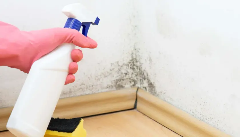 Mano con guante rosa sostiene spray para limpiar moho en esquina de pared. La humedad y la baja temperatura de rocío favorecen su aparición.