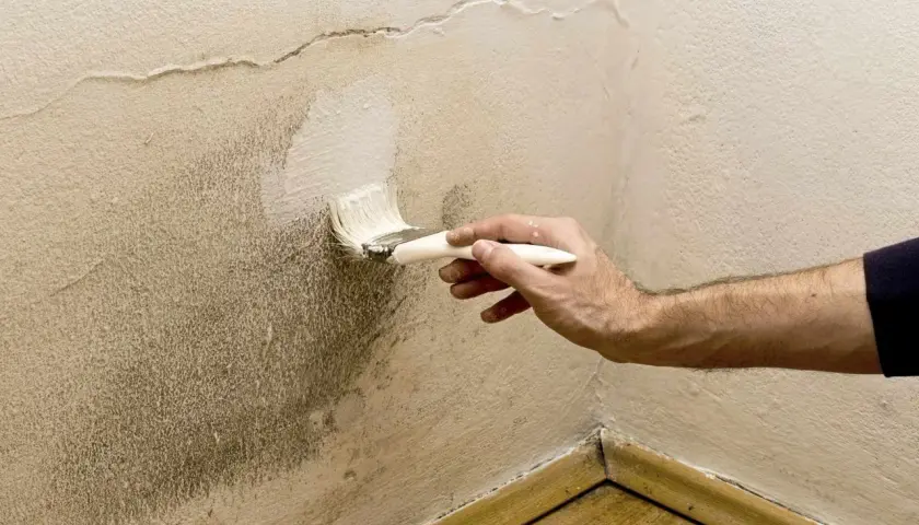 Pintando una pared con humedad. Se aplica pintura blanca con brocha sobre una zona manchada, buscando la mejor que pintura usar para paredes con humedad.