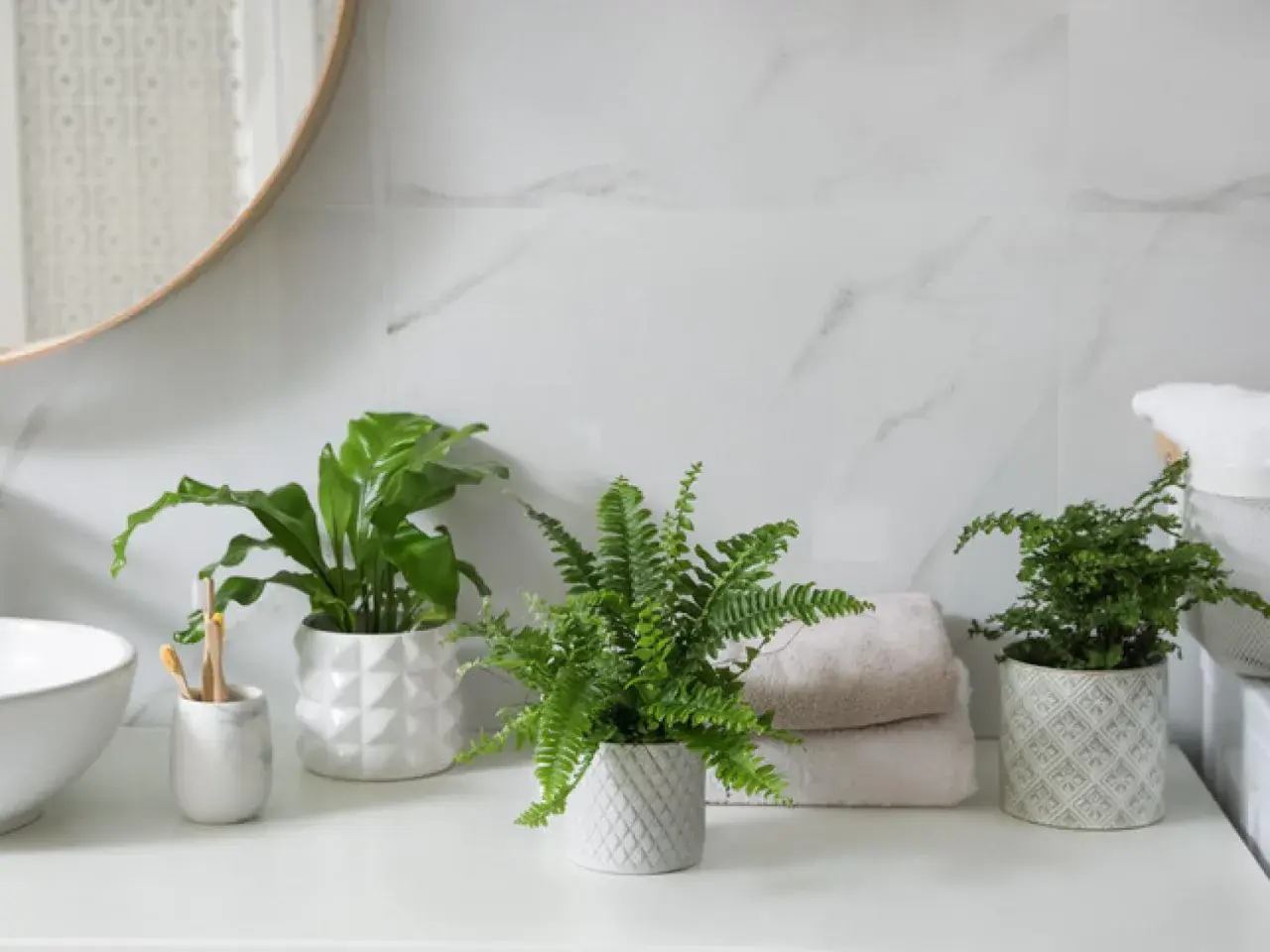 Tres plantas para el baño, un helecho y una planta de hoja ancha, aportan frescura a la encimera junto a toallas y un lavabo.