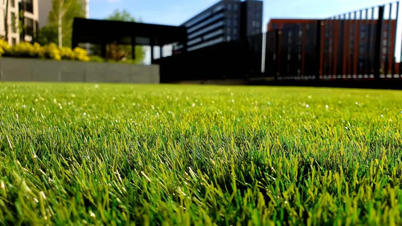 Césped artificial verde y vibrante, perfecto para aprender como limpiar cesped artificial y mantenerlo impecable. Edificios modernos al fondo.