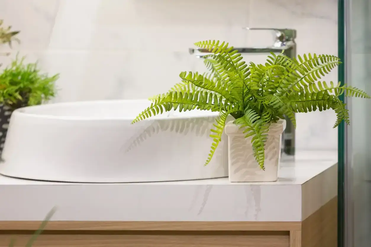 Un helecho verde decora el lavabo, una de las muchas plantas para el ba&ntilde;o que aportan frescura y vida.