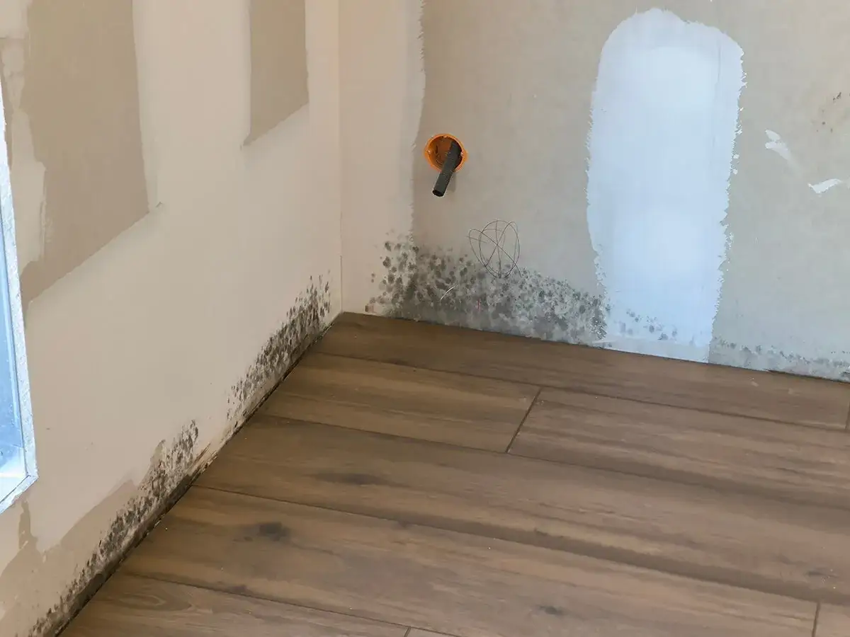 Manchas oscuras de humedad en la esquina de una pared y el suelo de madera.
