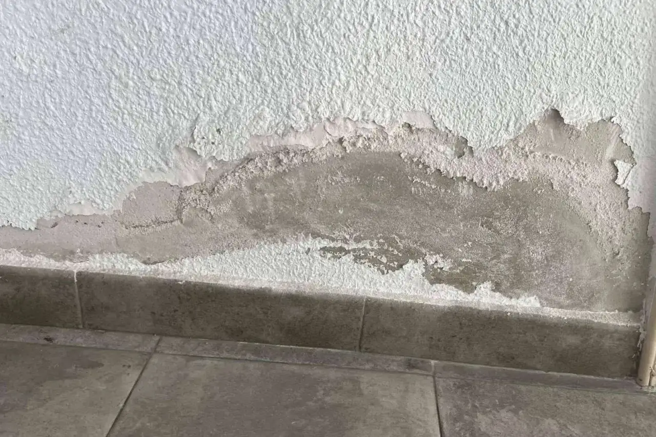 Manchas de salitre y pintura descascarada en una pared, indicando varios tipos de humedad en paredes.