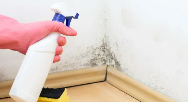 Mano con guante rosa sostiene spray para limpiar moho en esquina de pared. La humedad y la baja temperatura de rocío favorecen su aparición.