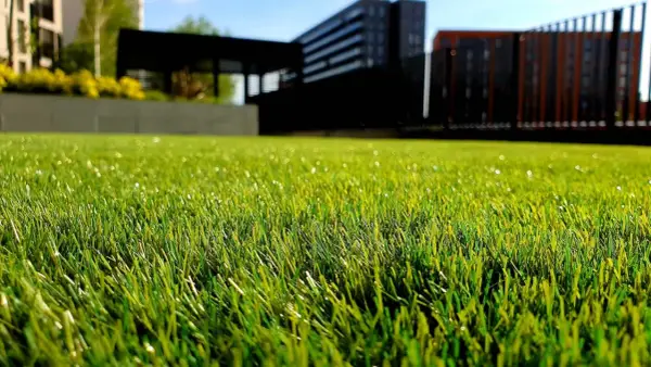 Césped artificial verde y vibrante, perfecto para aprender como limpiar cesped artificial y mantenerlo impecable. Edificios modernos al fondo.